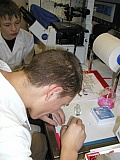 P1010011.jpg