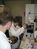 P1010013.jpg