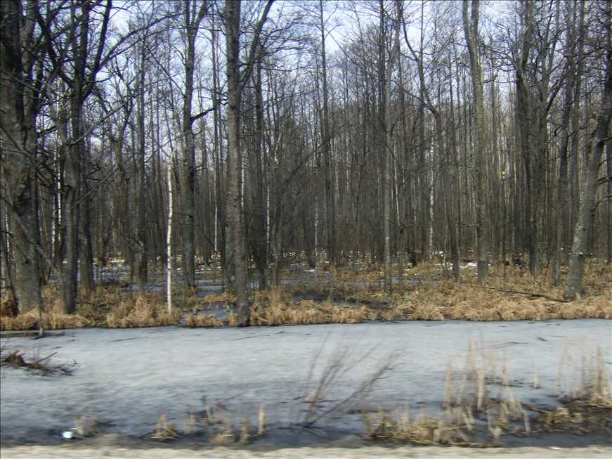 dscf7177.jpg