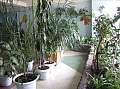 dscf6946.jpg