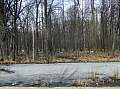 dscf7177.jpg