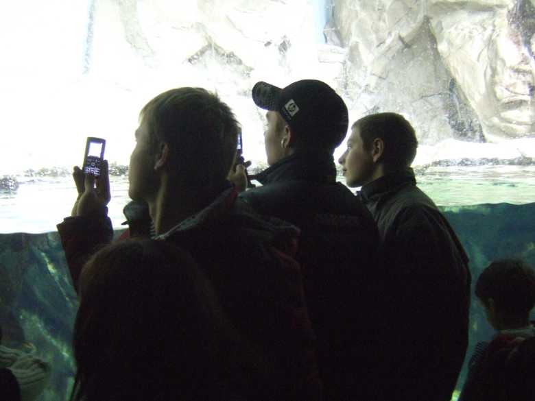 DSCF5547.jpg