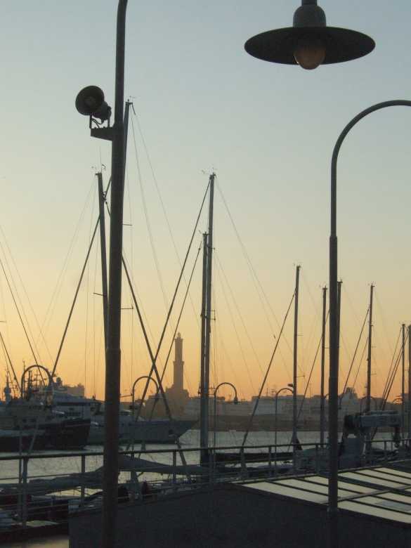 DSCF5566.jpg
