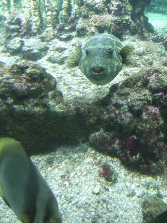 DSCF5581.jpg
