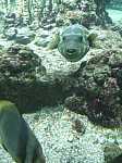 DSCF5581.jpg