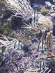 DSCF5598.jpg