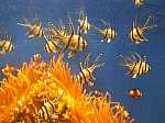 DSCF5600.jpg