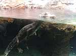 DSCF5606.jpg