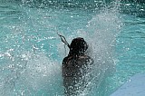r1383_BB__MG_4513.jpg