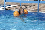 r1467_BB__MG_4598.jpg