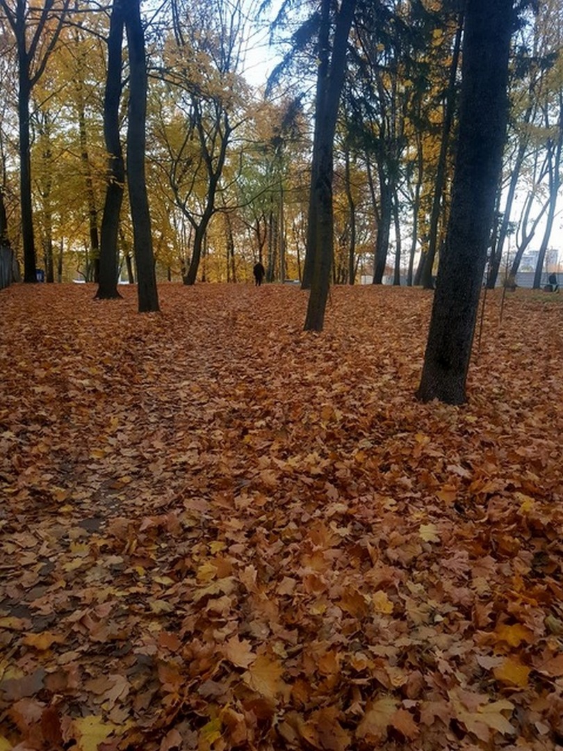 038  Gomel parco .jpg