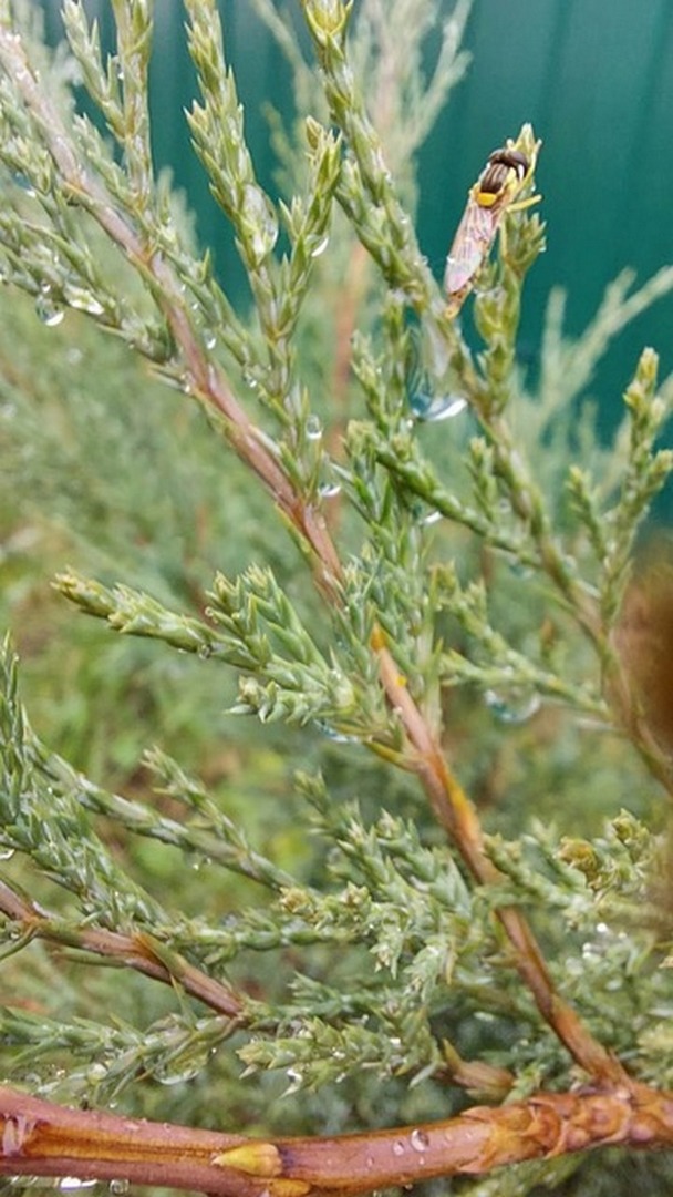 042   La bellezza della nostra natura.jpg
