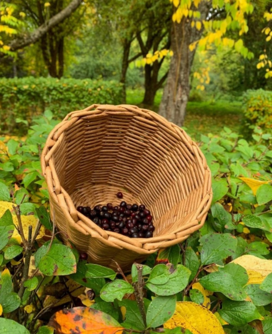 057 Regali di autunno.jpg
