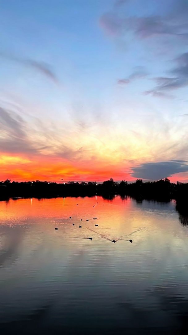 058   Ai raggi del sole al tramonto i.jpg