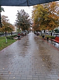 021 .jpg 021 .jpg