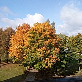 031 .jpg 031 .jpg