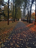 033 .jpg 033 .jpg
