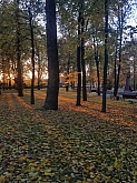 034 .jpg 034 .jpg