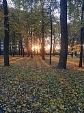 035 .jpg 035 .jpg