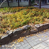 037 Scuola in autunno .jpg 037 Scuola in autunno .jpg