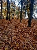 038 Gomel parco .jpg 038 Gomel parco .jpg