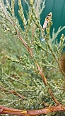 042 La bellezza della nostra natura.jpg 042 La bellezza della nostra natura.jpg