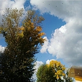 049 .jpg 049 .jpg