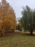 060 Autunno, ma l'estate non vuole arrendersi.jpg 060 Autunno, ma l'estate non vuole arrendersi.jpg