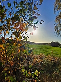 069 L inizio della bellezza dell'autunno .jpg 069 L inizio della bellezza dell'autunno .jpg