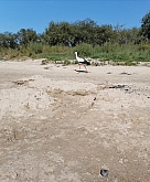 074 Quanto bella la nostra natura.jpg 074 Quanto bella la nostra natura.jpg