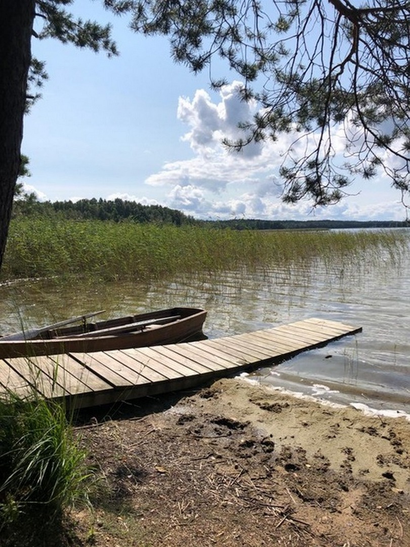14 parco Cigni e lago Braslav.jpg