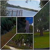 13 abitanti della foresta.jpg 13 abitanti della foresta.jpg