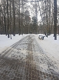 36.jpg 36.jpg
